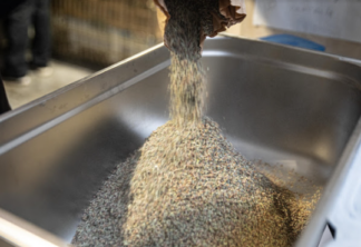 Atelier fabrication de sirop artisanal